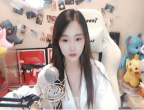 私密虎牙,揭秘神秘网络世界的独特魅力